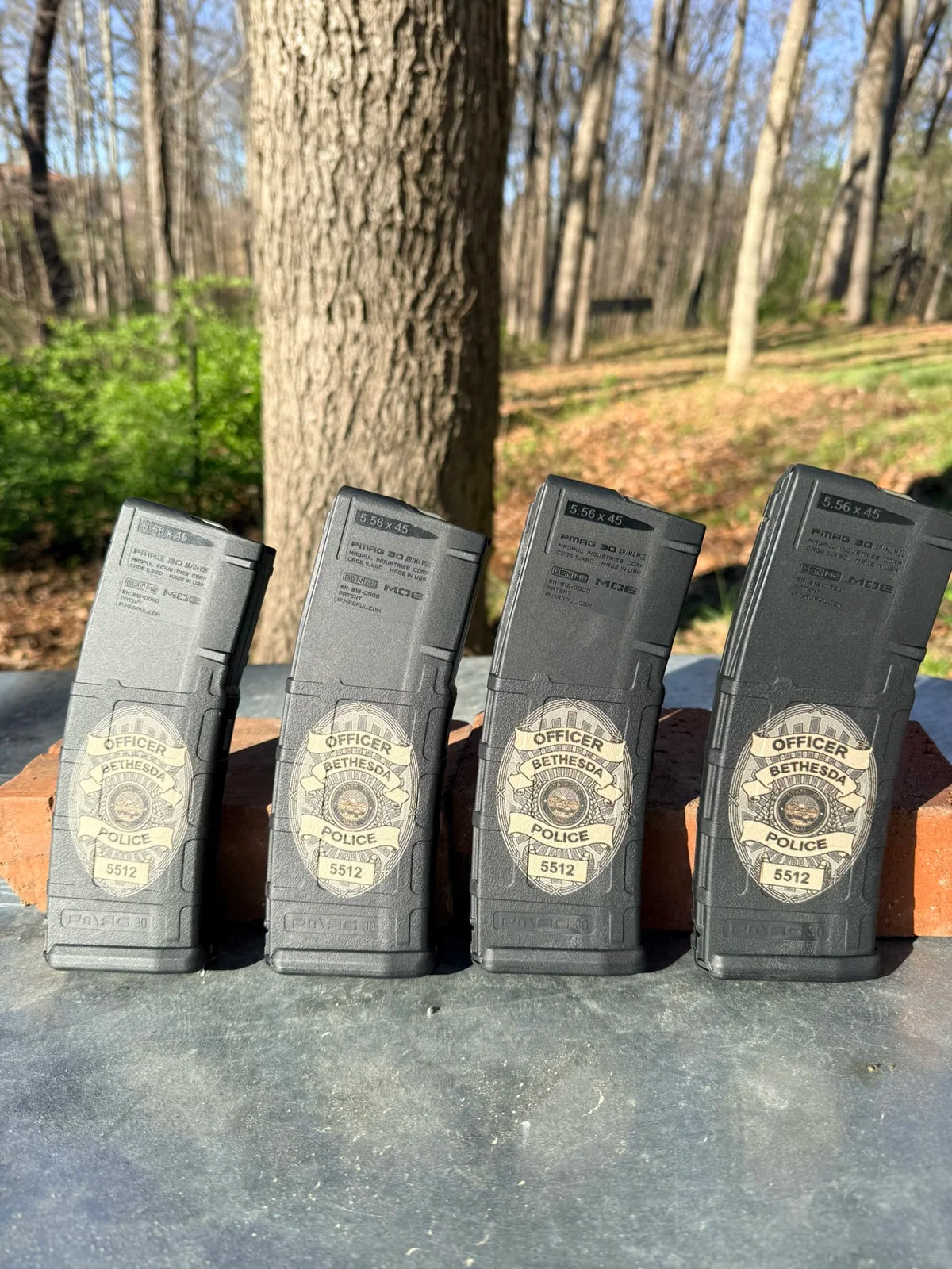 AR mag sheriff Montgomery county badge